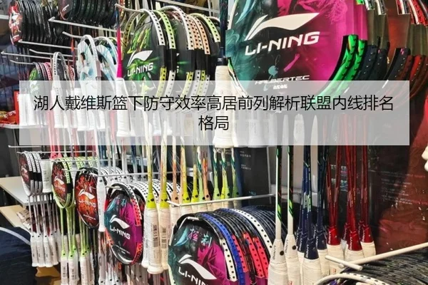 湖人戴维斯篮下防守效率高居前列解析联盟内线排名格局